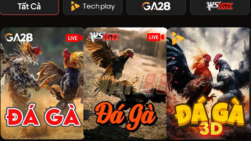 Đá gà man88